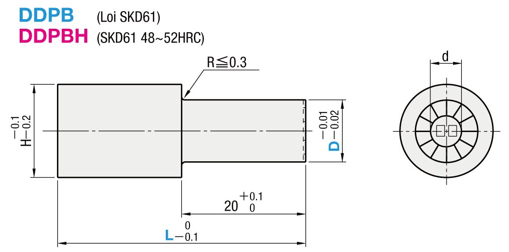 Date Marked Pins For Die Cast - Punch Type / Press Fit Type - 