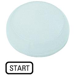 Cabochon, voyant blanche, affleurant, START