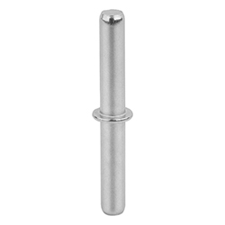 Axes en inox pour demi-charnières (27869-15)
