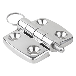 Charnières en inox, séparables, démontables, Forme A, avec axe de fixation (27875-04)