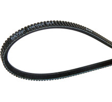 Courroie de transmission, Polyflex