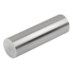 Aimants bruts AlNiCo, type barre (K1407)