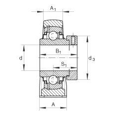 INA Unité à palier avec base longue, fonte grise, collier de blocage excentrique, joint R