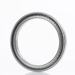 Roulements à rouleaux cylindriques série CV
