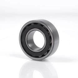 Roulements à rouleaux toroïdaux série C3