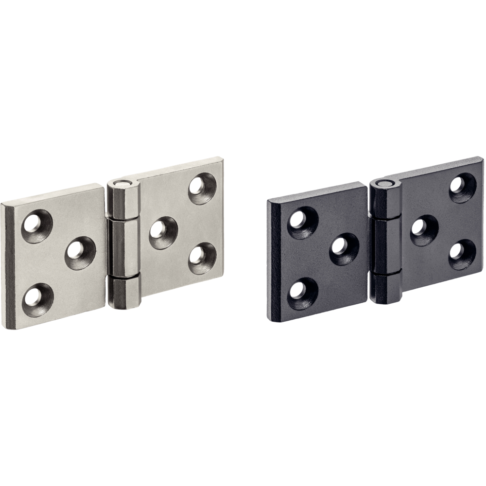 Charnières, inox, allongé des deux côtés