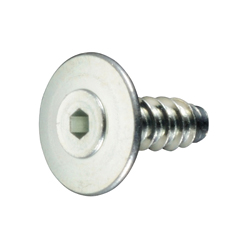 Nouvelles vis taraudées ultra basses à six pans creux de type TH, type B=0